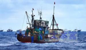 2014．09小笠原で珊瑚密漁する支那漁船