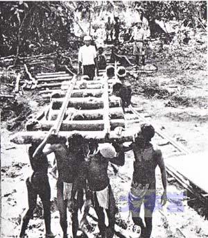 18年12月、道路建設中。パプア族が協力。