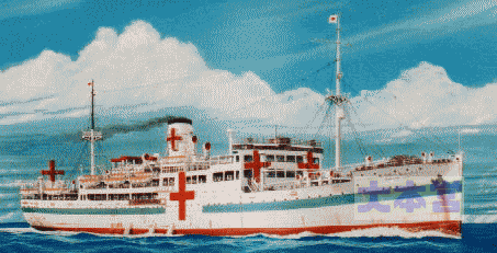 病院船ぶゑのすあいれす丸